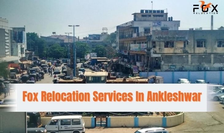 packers movers Ankleshwar